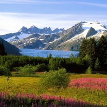 A Photographer's Canvas, Mendenhall Glacier, Alaska